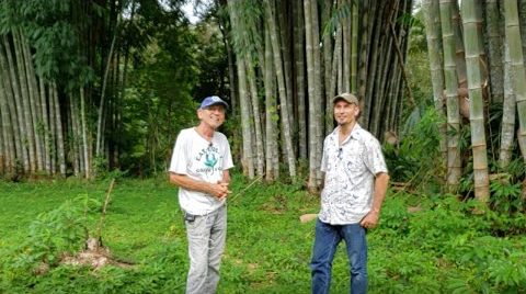 Bio-Ferments, Water Filtration, and Some Really Big Bambu (Ed Bernhardt: New Dawn Center)