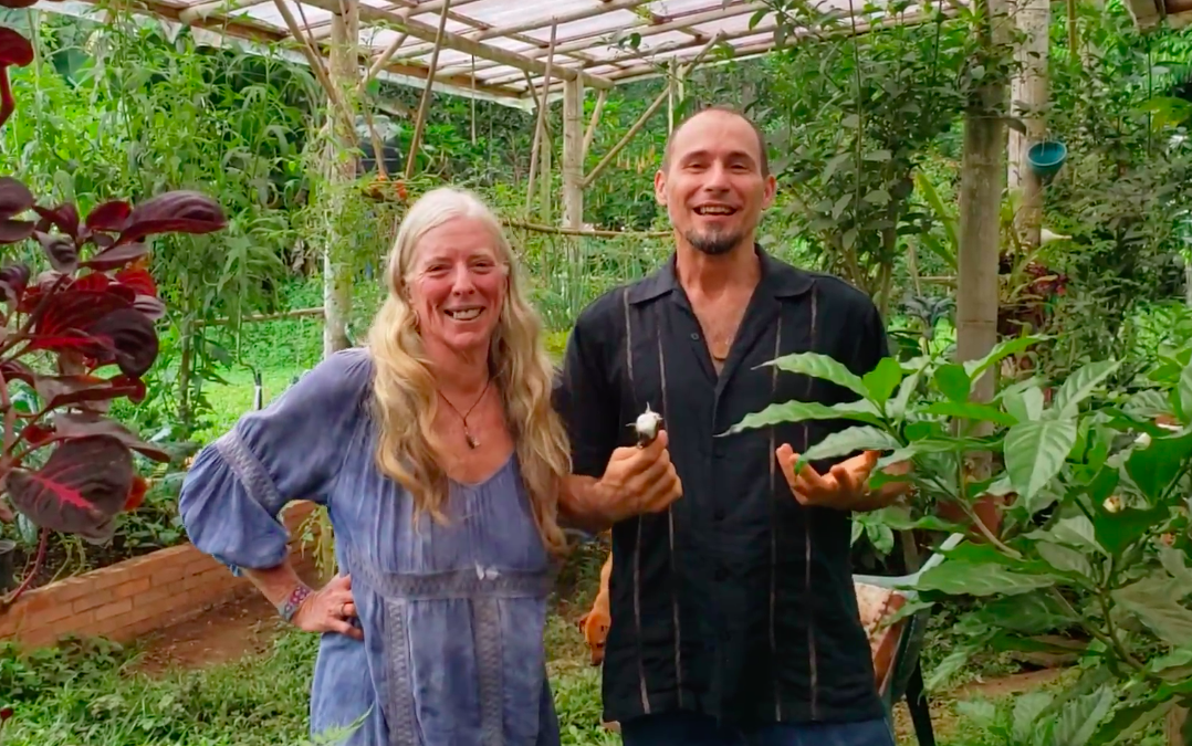 Greenhouses, Volunteers, & Vanilla Bean Propagation (Suzanna Leff: Finca Amrta)