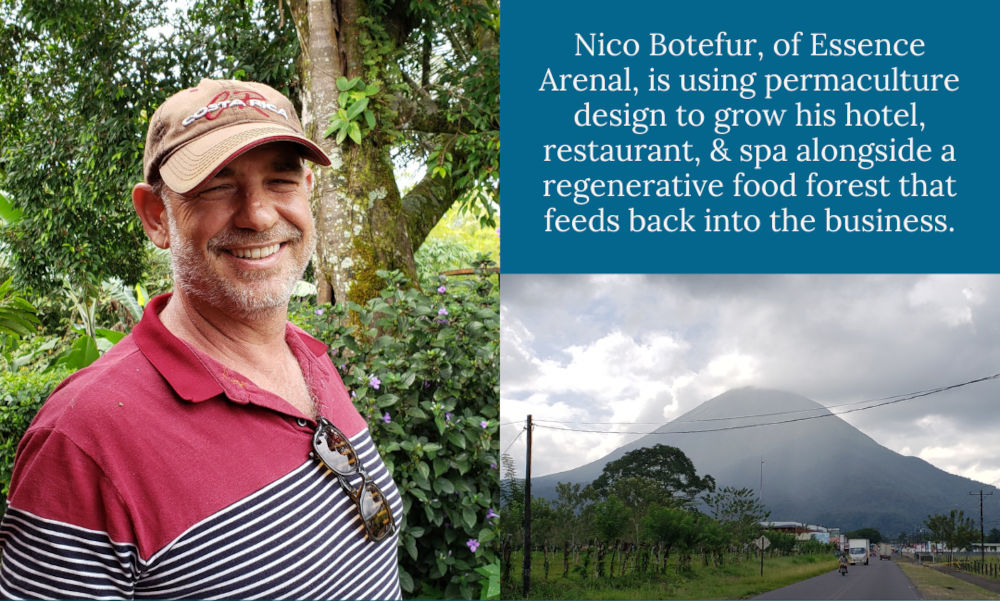 #011 Nico Botefur: This Permaculture-Designed Hotel, Restaurant, and Food Forest is Set Up for Success (Essence Arenal)