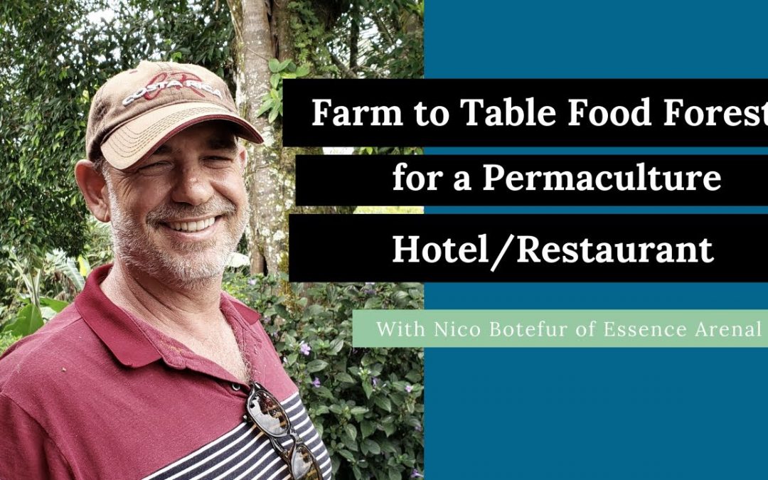 Farm to Table Food Forests Feeding a Permaculture Hotel/Restaurant (Nico Botefur: Essence Arenal)